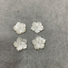 Granos de flores talladas de concha de nácar blanco para fabricación de joyas, tamaño 20mm