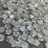 Flores de la madre natural de las perlas Corte de la concha blanca que hace diseño de joyas Pendientes de flores Pulsera de bricolaje Hecho a mano