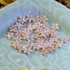 Forma de flor tallada de nácar Natural para diseño de pendientes, diseño de collar de joyería de cabujón pequeño, piezas de frijoles pequeños