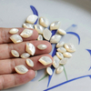Cabujón de granos pequeños de nácar Natural para mujer, forma de marquesa de corte facial, diseño de pendientes con incrustaciones, fabricación de cosas bonitas
