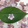 Diseño de colgante de mujer con forma de flor de nácar Natural, diseño de collar de concha amarilla a la moda con cabujón colorido 