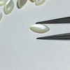 Corte en forma de marquesa de nácar Natural para diseño de incrustaciones de pendientes, pulsera de joyería de cabujón de frijoles pequeños de concha blanca 