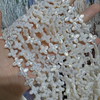Forma de trébol de nácar Natural, corte de doble cara, flor pequeña para diseño de collar, concha blanca para cadena, cabujón DIY
