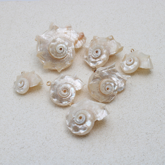 Colgante de concha de nácar Natural para mujer, tamaño pequeño, concha blanca original, diseño de collar, corte de cabujón 