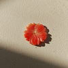 Collar tallado de flores de concha de naranja Natural de nácar, diseño de joyería, piezas de incrustaciones, flor pequeña para uso de pendientes 