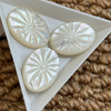 Corte de cabujón ovalado de nácar Natural para colgante, diseño de incrustación, imagen en relieve, frijoles pequeños, cara tallada, cosas bonitas
