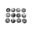 Natural Madreperla dragón forma corte animal diseño relieve cara cabujón forma redonda colgante incrustación iconos imagen 