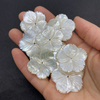 Corte de diseño de flor de nácar Natural para mujer, fabricación de joyas, diseño de broche, frijoles pequeños, anillos de concha blanca, fabricación de moda