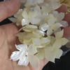 Colgante con diseño de hoja de nácar Natural, corte de concha blanca para mujer, pendientes, diseño de anillos de hojas grandes, joyería con forma de hoja de arce