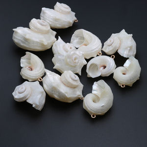 Colgante de concha de nácar Natural para mujer, tamaño pequeño, concha blanca original, diseño de collar, corte de cabujón 