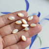 Cabujón de granos pequeños de nácar Natural para mujer, forma de marquesa de corte facial, diseño de pendientes con incrustaciones, fabricación de cosas bonitas