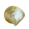 Diseño de disco de corte de forma redonda de nácar Natural para colgante, concha amarilla, fabricación de colgantes, piezas de diseño de tamaño más grande