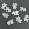 Corte natural en forma de pez de nácar para joyería colgante cabujón haciendo cara tallada diseño de collar de concha blanca usando frijoles