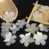 Colgante con diseño de hoja de nácar Natural, corte de concha blanca para mujer, pendientes, diseño de anillos de hojas grandes, joyería con forma de hoja de arce
